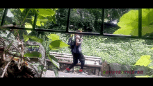 a person walking in a park with a coyotestyle.ro logo on the bottom