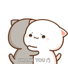 a cartoon cat is hugging another cat with the words thank you below it