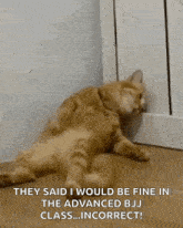 Sad Cat GIF - Sad Cat Sunakook GIFs