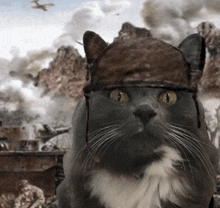 1000yardstarejimmy Cat GIF - 1000yardstarejimmy Cat GIFs
