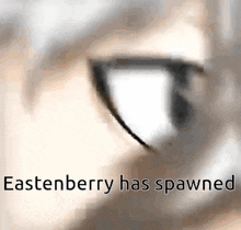 a close up of a person 's eye with the words eastenberry has spawned above it .
