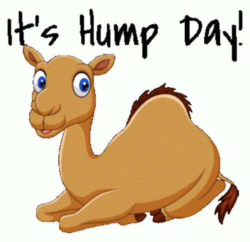 Wednesday Hump Day Motivation Animated Stickers Sticker - Wednesday ...