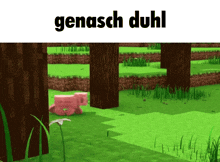 Genasch Duhl Minecraft GIF - Genasch Duhl Minecraft Pig GIFs
