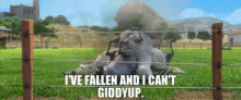 Ferdinand Hans GIF - Ferdinand Hans Ive Fallen And I Cant Giddyup GIFs