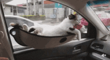 Cat Car Hammock GIF - Cat Car Hammock Funny Animals GIFs