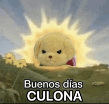 a teddy bear is sitting in front of a sun with the words buenos dias culona .