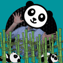 Kevin Panda GIF - Kevin Panda Deanwebb GIFs