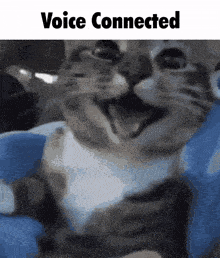 Voice Connected Discord GIF