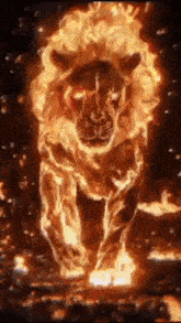 a lion is covered in flames and is running through a fire .