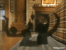 Passions Shadows GIF - Passions Shadows Couch GIFs