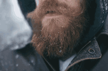 Beard Bearded GIF - Beard Bearded GIFs