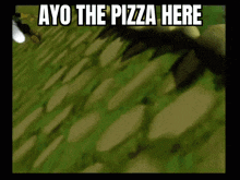 Cat Ayo The Pizza Here GIF - Cat Ayo The Pizza Here Ayo GIFs