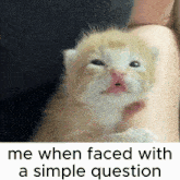 a kitten is being held in a person 's arm with a caption that says me when faced with a simple question