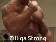 Zilliqa Pumping GIF - Zilliqa Zil Pumping GIFs