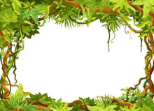 Forest rain nature GIF on GIFER - by Meztishicage