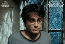 Prisoner Of Azkaban Hp GIF - Prisoner Of Azkaban Hp Harry Potter Funny Face GIFs