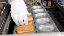 a person wearing white gloves is putting a bread in a pan that says made in animatica on the bottom