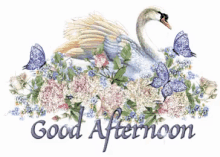 Swan Good Afternoon GIF - Swan Good Afternoon Greetings GIFs