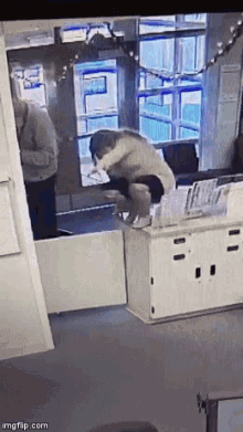 Office Manager GIF