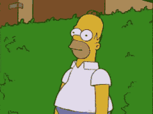 Hide In The Bushes Homer Simpson GIF - Hide In The Bushes Homer Simpson The Simpsons GIFs