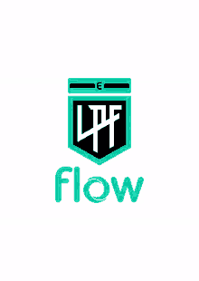 flow profesional