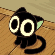 a black cat with big white eyes is sitting on a wood floor