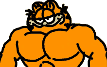 Garfield Buffgarfield GIF