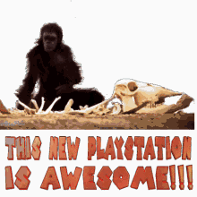 sticker gif joke movies funny animals this new playstation is awesome