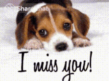 Imy I Miss You GIF