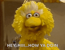 Sesame Street Lol GIF - Sesame Street Lol Funny GIFs