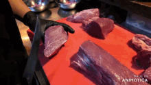 a person is cutting meat on a red cutting board with the words made in animatica on the bottom