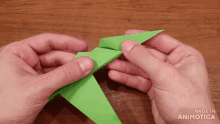 a person is holding a green origami bird and the words made in animotica can be seen behind them