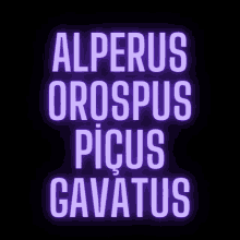 a sign that says alperus oropus picus gavatus