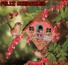 a picture of a birdhouse with the words feliz miercoles on the top