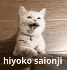 Hiyoko Saionji GIF - Hiyoko Saionji Cat GIFs