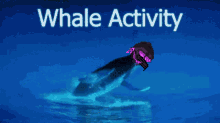 Whale Nft GIF