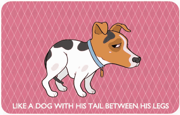 Like A Dog With His Tail Between His Legs GIF - Tail Between Legs Like A  Dog With His Tail Between His Legs Ashamed - Discover & Share GIFs