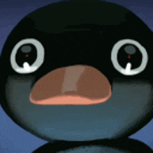 a close up of a penguin 's face with big eyes and a big beak .