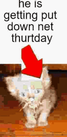 thurtday