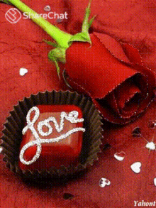 Love Chocolate GIF - Love Chocolate Red Rose GIFs
