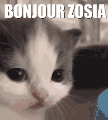 Bonjour Zosia GIF - Bonjour Zosia GIFs