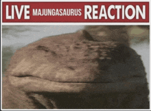 Majungasaurus Live GIF