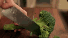Broccoli GIF - Broccoli Knife GIFs