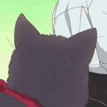 Haru Cats GIF - Haru Cats Anime GIFs