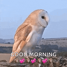 an owl sitting on a tree branch with hearts on its feet and the words good morning below it