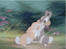 Rabbits Bunny GIF - Rabbits Bunny Kissing GIFs