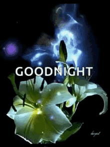 good night sparkles flowers