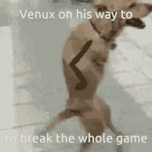 venux gekyume break the game