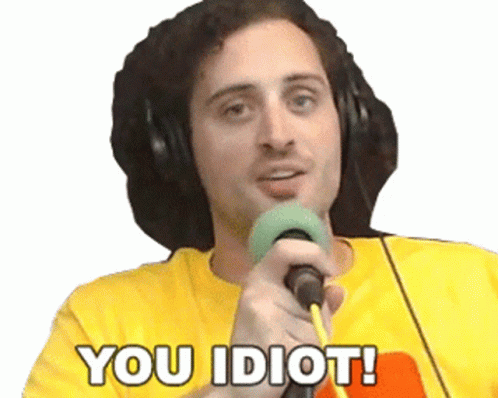 you are an idiot remix on Make a GIF