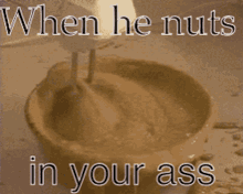 Nuts Ass GIF - Nuts Ass GIFs